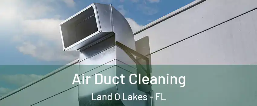  Air Duct Cleaning Land O Lakes - FL