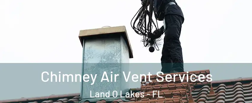  Chimney Air Vent Services Land O Lakes - FL