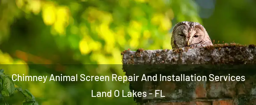  Chimney Animal Screen Repair And Installation Services Land O Lakes - FL