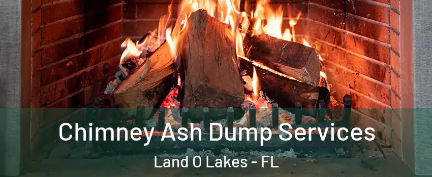  Chimney Ash Dump Services Land O Lakes - FL