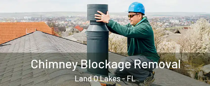  Chimney Blockage Removal Land O Lakes - FL
