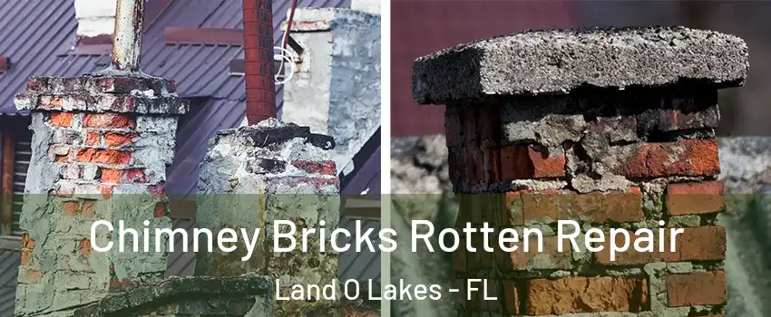  Chimney Bricks Rotten Repair Land O Lakes - FL