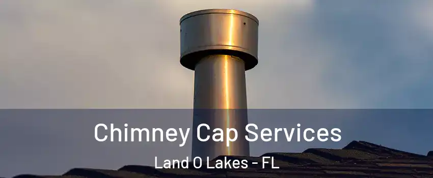  Chimney Cap Services Land O Lakes - FL