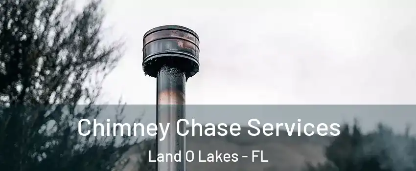  Chimney Chase Services Land O Lakes - FL