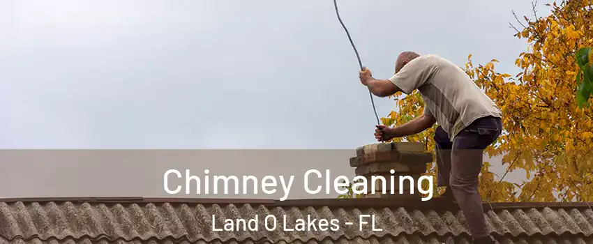  Chimney Cleaning Land O Lakes - FL