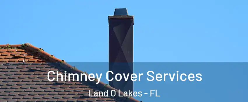  Chimney Cover Services Land O Lakes - FL