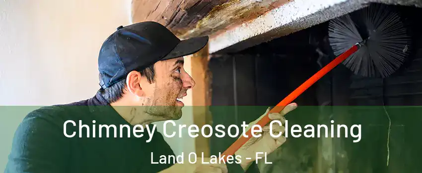  Chimney Creosote Cleaning Land O Lakes - FL