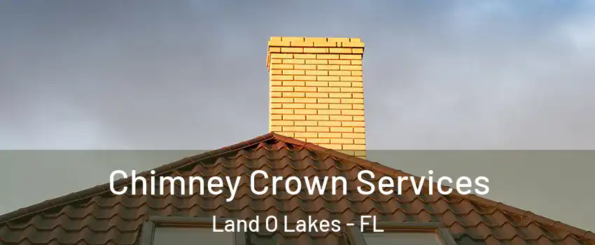 Chimney Crown Services Land O Lakes - FL
