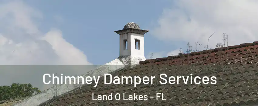  Chimney Damper Services Land O Lakes - FL