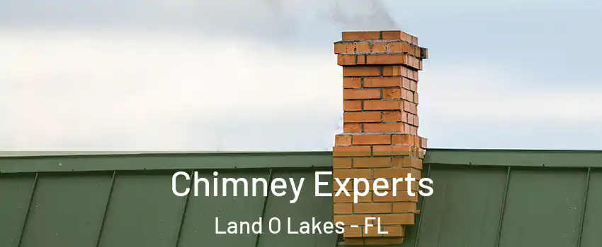 Chimney Experts Land O Lakes - FL