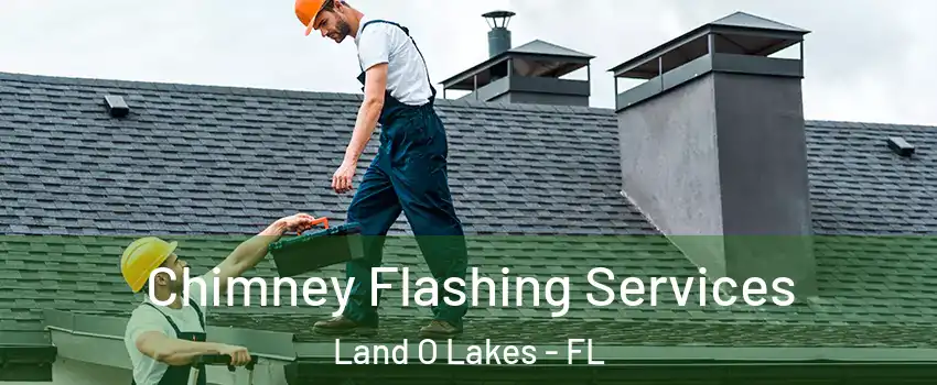Chimney Flashing Services Land O Lakes - FL