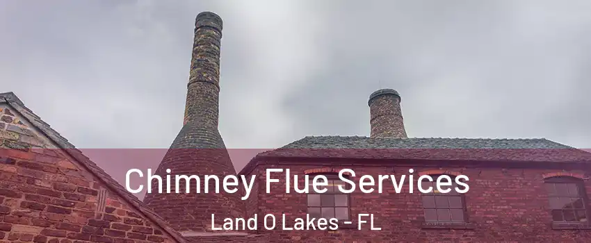  Chimney Flue Services Land O Lakes - FL