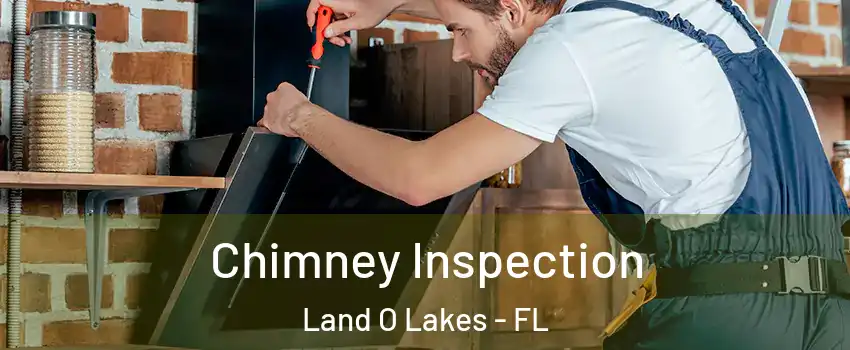  Chimney Inspection Land O Lakes - FL