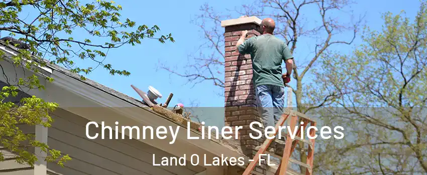  Chimney Liner Services Land O Lakes - FL
