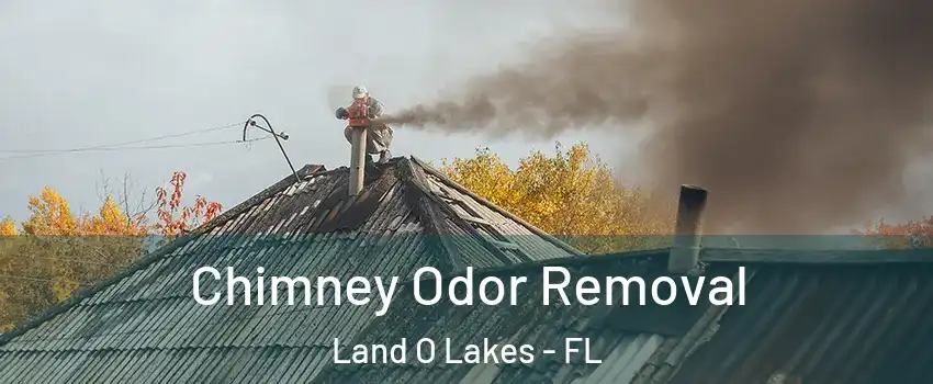  Chimney Odor Removal Land O Lakes - FL