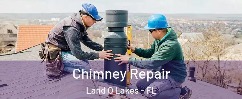  Chimney Repair Land O Lakes - FL