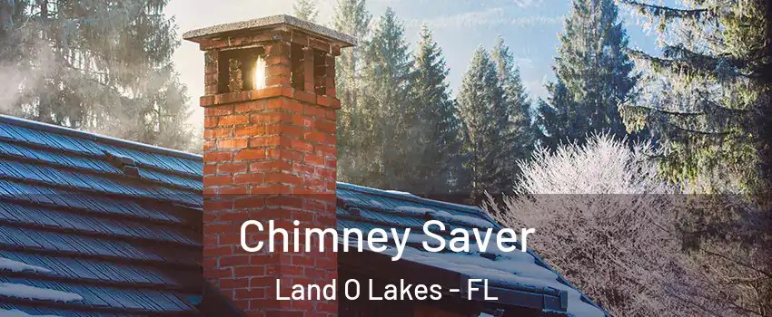  Chimney Saver Land O Lakes - FL