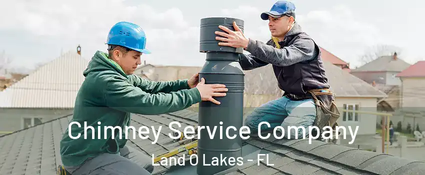  Chimney Service Company Land O Lakes - FL