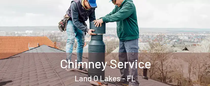  Chimney Service Land O Lakes - FL