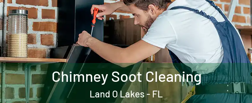  Chimney Soot Cleaning Land O Lakes - FL