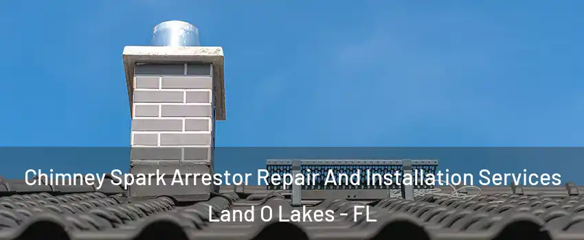  Chimney Spark Arrestor Repair And Installation Services Land O Lakes - FL