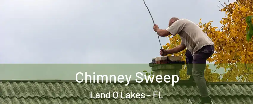  Chimney Sweep Land O Lakes - FL