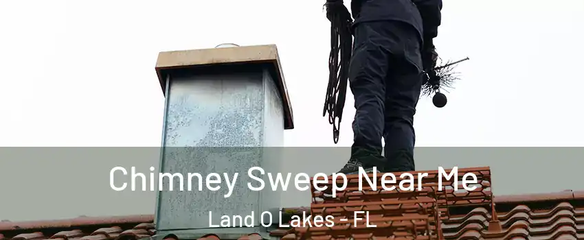  Chimney Sweep Near Me Land O Lakes - FL