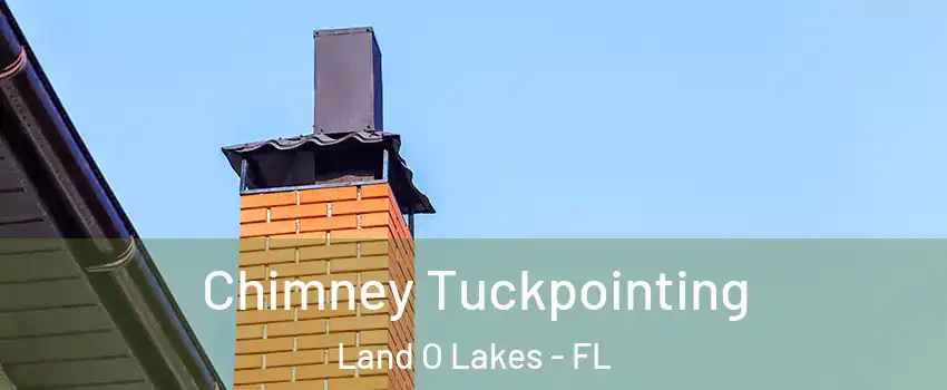  Chimney Tuckpointing Land O Lakes - FL