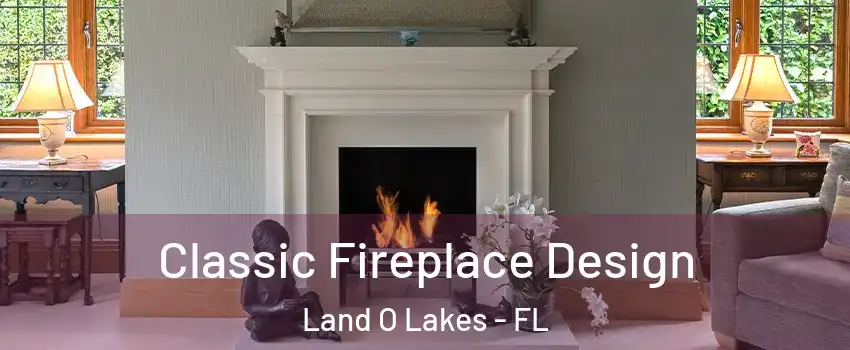  Classic Fireplace Design Land O Lakes - FL