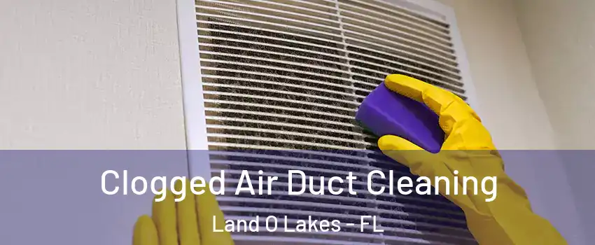  Clogged Air Duct Cleaning Land O Lakes - FL