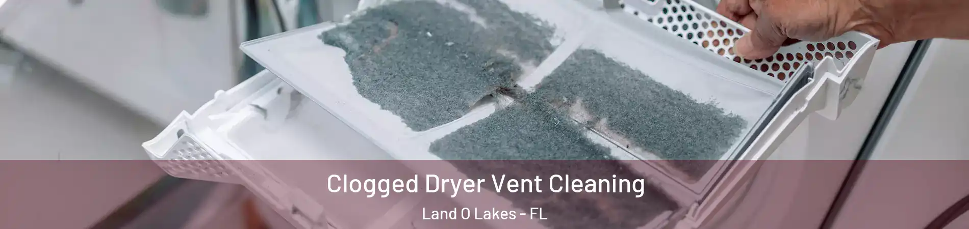  Clogged Dryer Vent Cleaning Land O Lakes - FL