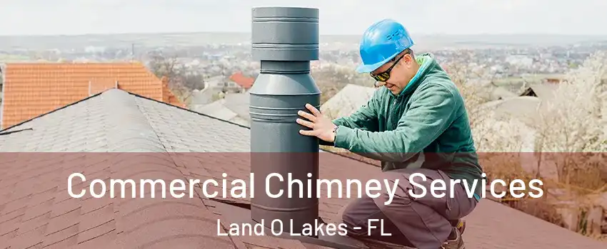  Commercial Chimney Services Land O Lakes - FL