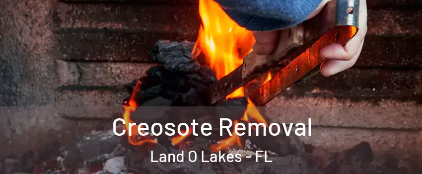  Creosote Removal Land O Lakes - FL