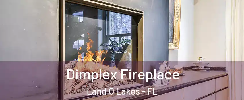  Dimplex Fireplace Land O Lakes - FL