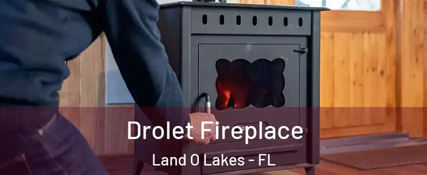  Drolet Fireplace Land O Lakes - FL