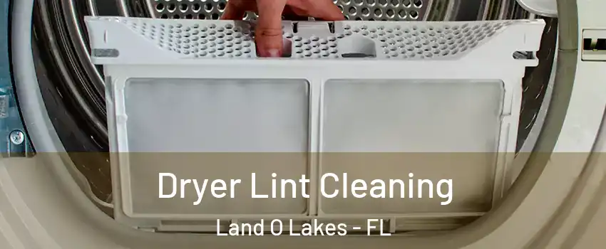  Dryer Lint Cleaning Land O Lakes - FL