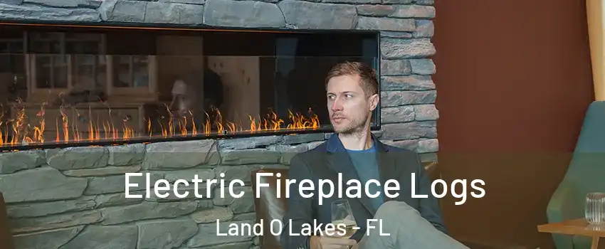  Electric Fireplace Logs Land O Lakes - FL