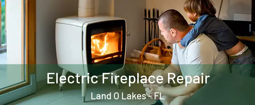  Electric Fireplace Repair Land O Lakes - FL