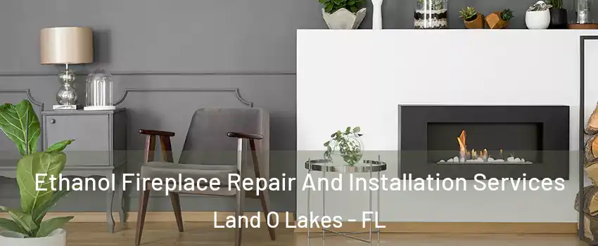  Ethanol Fireplace Repair And Installation Services Land O Lakes - FL