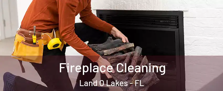  Fireplace Cleaning Land O Lakes - FL