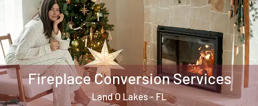  Fireplace Conversion Services Land O Lakes - FL