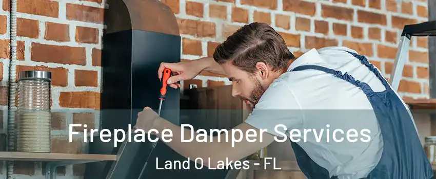  Fireplace Damper Services Land O Lakes - FL
