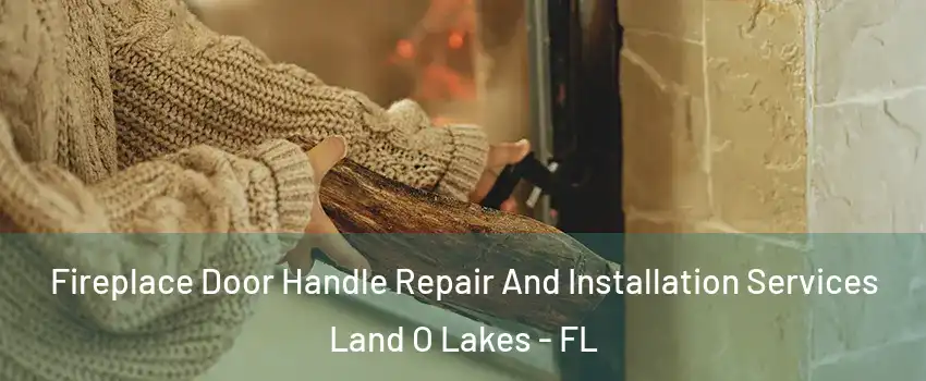  Fireplace Door Handle Repair And Installation Services Land O Lakes - FL