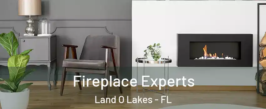  Fireplace Experts Land O Lakes - FL