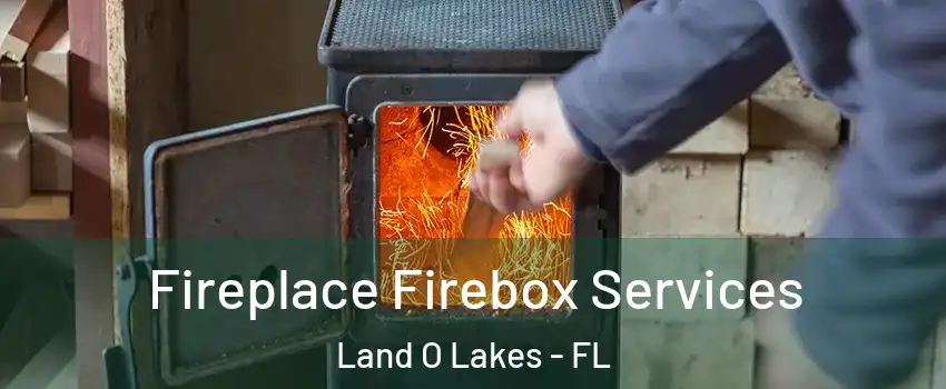  Fireplace Firebox Services Land O Lakes - FL