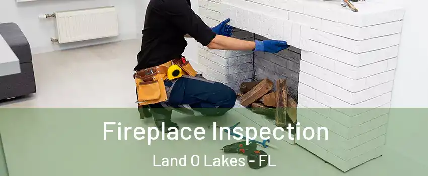  Fireplace Inspection Land O Lakes - FL