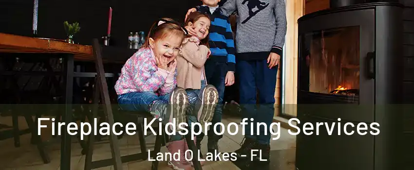  Fireplace Kidsproofing Services Land O Lakes - FL