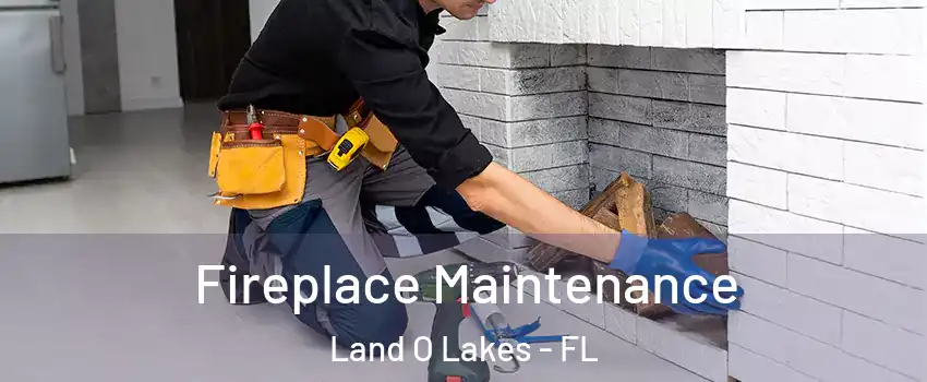  Fireplace Maintenance Land O Lakes - FL