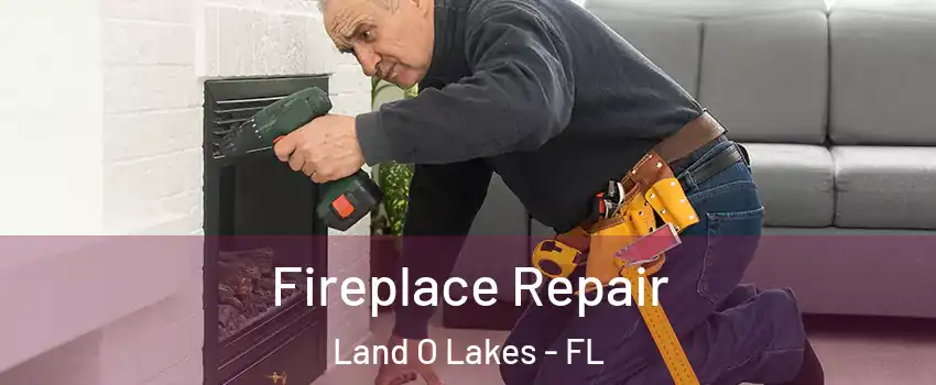  Fireplace Repair Land O Lakes - FL