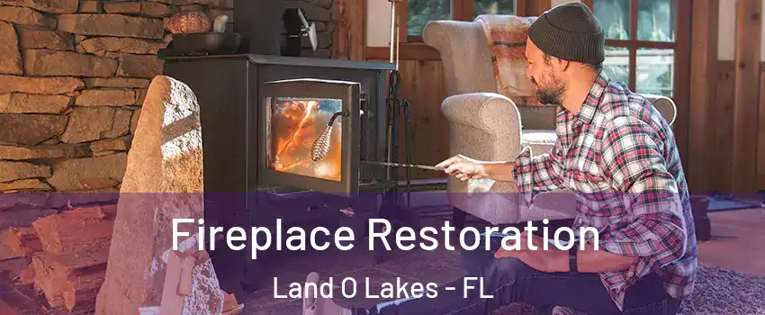  Fireplace Restoration Land O Lakes - FL